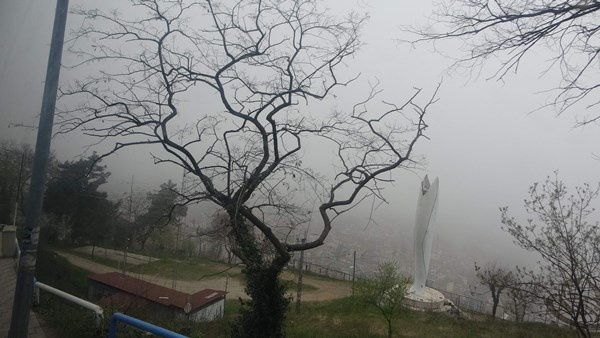 Trabzon'da sis hava ulaşımını vurdu. Foto Galeri 8