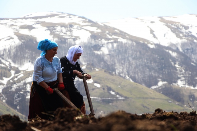 Şartlar zor olsa da Karadeniz kadını çalışmadan duramıyor. Foto Galeri 2