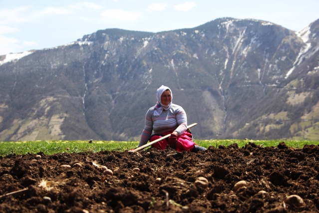 Şartlar zor olsa da Karadeniz kadını çalışmadan duramıyor. Foto Galeri 15