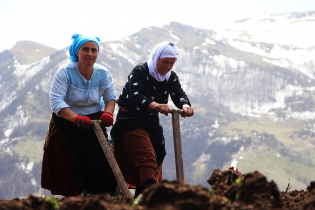 Şartlar zor olsa da Karadeniz kadını çalışmadan duramıyor. Foto Galeri 3