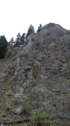 Trabzon'da dağcılar, 'ölüm yamacı'nda riskli kaya avında. Foto Galeri 6