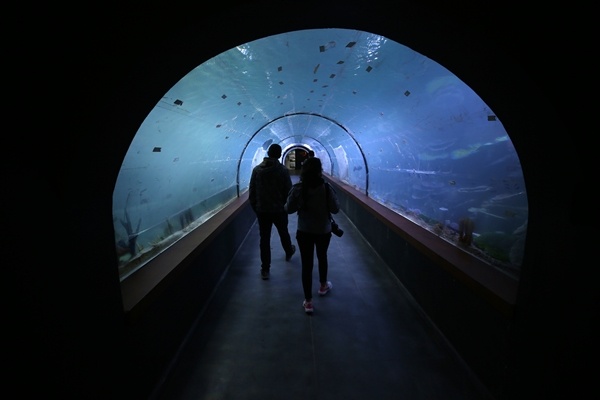 "Tünel Akvaryum" misafirlerini ağırlayacak! İşte detaylar fotoğraflar. Foto Galeri 2