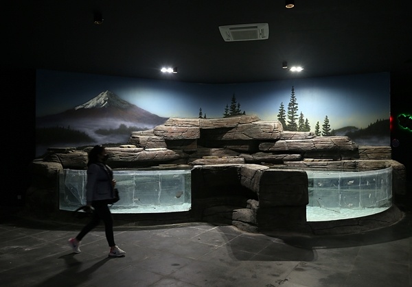 "Tünel Akvaryum" misafirlerini ağırlayacak! İşte detaylar fotoğraflar. Foto Galeri 3