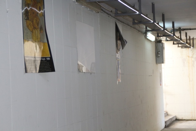 Rize'de alt geçide tuvaletini yapanların fotoğraflarını astılar. Foto Haber 8