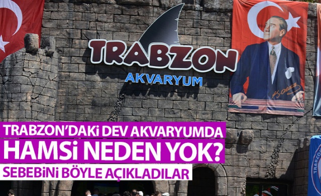 Trabzon'daki dev akvaryumda Hamsi neden yok? İşte sebebi. Foto Galeri 1