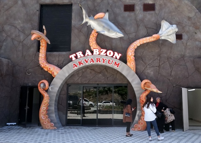 Trabzon'daki dev akvaryumda Hamsi neden yok? İşte sebebi. Foto Galeri 5