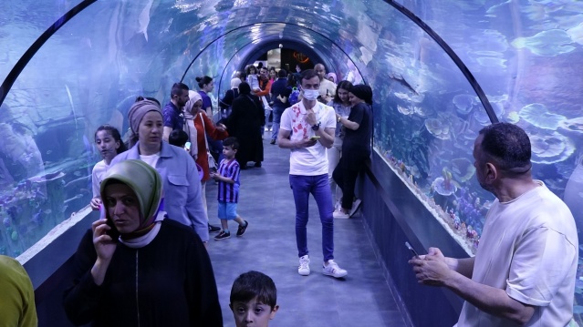 Trabzon'daki dev akvaryumda Hamsi neden yok? İşte sebebi. Foto Galeri 16