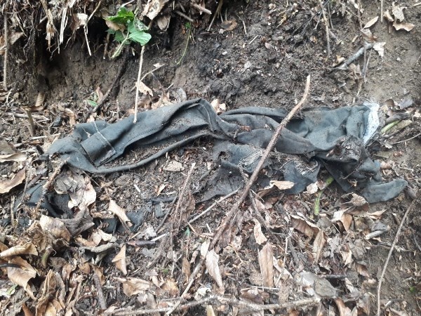 Gümüşhane 'de ormanda bulunan kafatası kemiklerin arkasından cinayet iddiası. Foto Haber 6