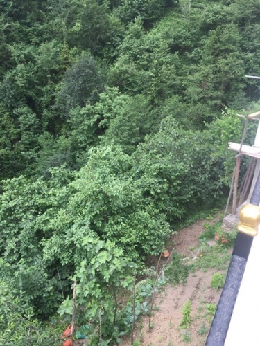 Trabzon'da balkondan düştü, 100 metrelik dik yamaçta yuvarlandı. Foto Haber 4