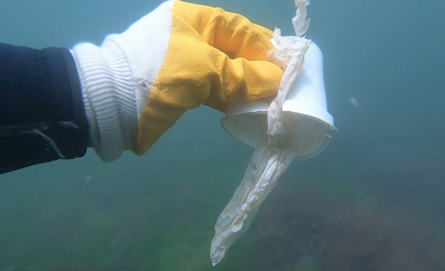 Karadeniz'de 15 farklı plastik türü tespit edildi. 20 Haziran 2022 Foto Haber 7
