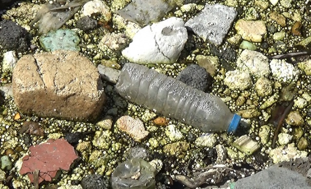 Karadeniz'de 15 farklı plastik türü tespit edildi. 20 Haziran 2022 Foto Haber 14