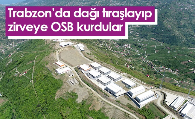 Trabzon'da dağı tıraşlayıp, zirveye OSB kurdular.Foto Haber 1