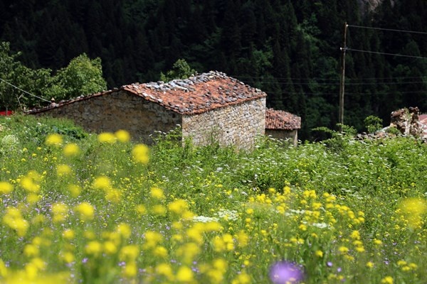 Santa Harabelerinde bahar güzelliği. Foto Haber 6