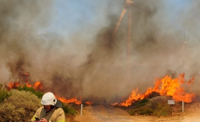 Makilik alanda yangın çıktı, 7 kişi gözaltına alındı Foto Haber 2