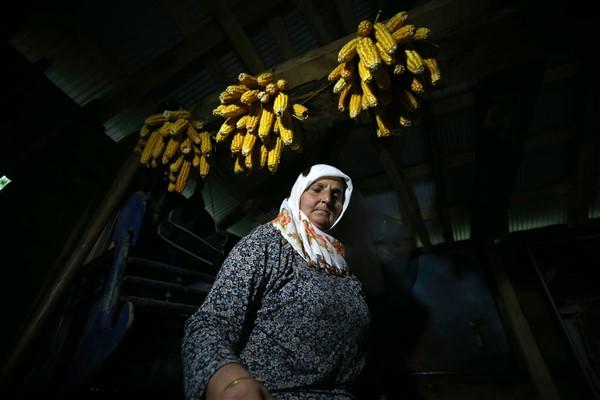 Karadeniz'in çalışkan kadınlarından mısır unu mesaisi. Foto Haber 22