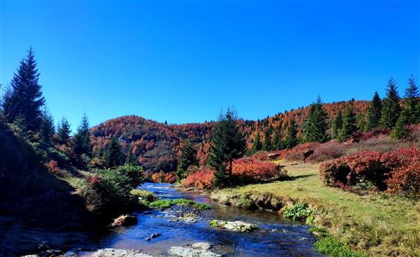 Sis Dağı sonbahar renklerine büründü. Foto Haber 7