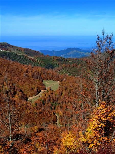 Sis Dağı sonbahar renklerine büründü. Foto Haber 10