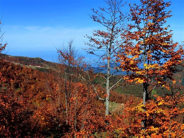 Sis Dağı sonbahar renklerine büründü. Foto Haber 9