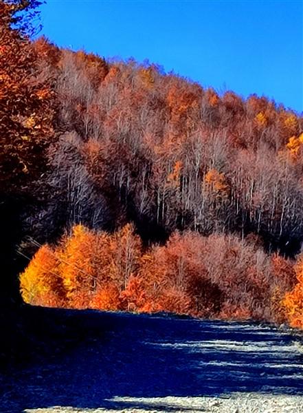 Sis Dağı sonbahar renklerine büründü. Foto Haber 8