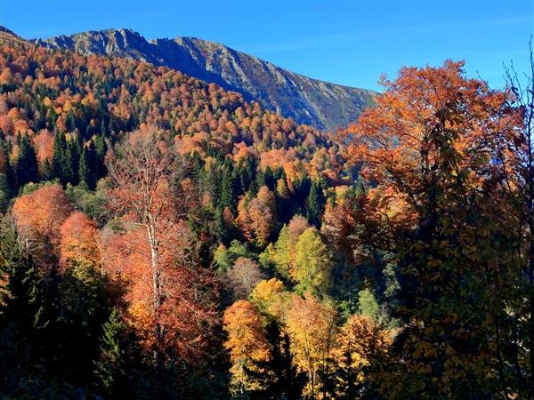 Sis Dağı sonbahar renklerine büründü. Foto Haber 4