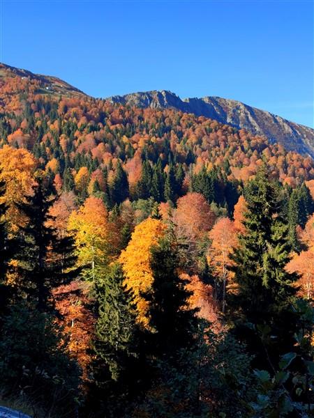 Sis Dağı sonbahar renklerine büründü. Foto Haber 3