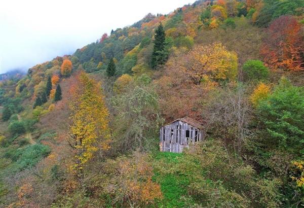 Trabzon'da sonbahar: Hayran bırakıyor. Foto Galeri 6