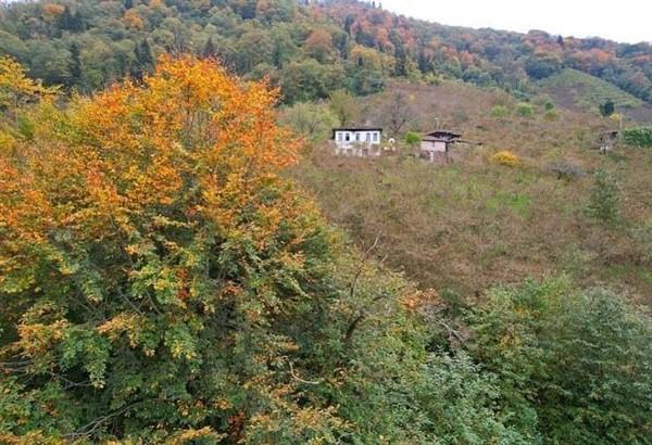 Trabzon'da sonbahar: Hayran bırakıyor. Foto Galeri 5