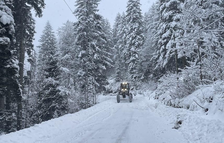 Rize ve Artvin'de kar esareti! 119 köye ulaşılamıyor 6