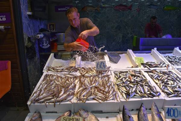 Trabzon'daki tezgahlarda balık çeşitleri arttı 3