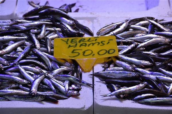 Trabzon'daki tezgahlarda balık çeşitleri arttı 4
