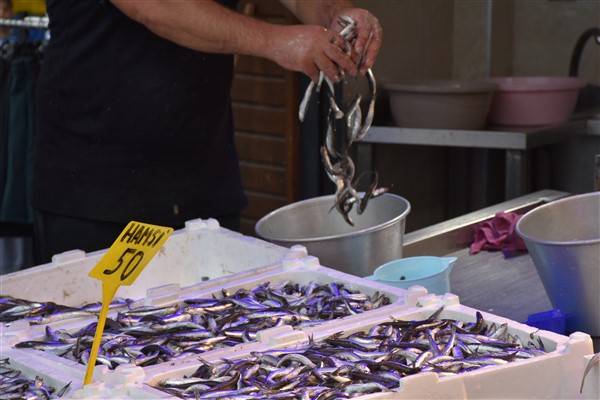 Trabzon'daki tezgahlarda balık çeşitleri arttı 5