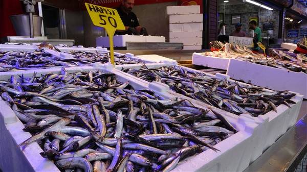 Trabzon'daki balık tezgahlarında çeşitler arttı 2