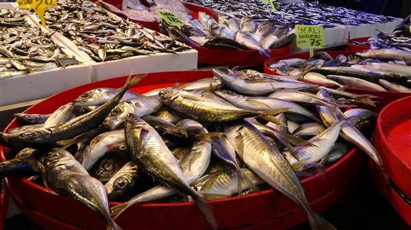 Trabzon'daki balık tezgahlarında çeşitler arttı 3