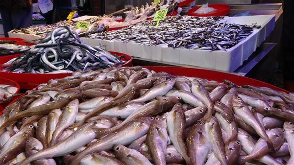 Trabzon'daki balık tezgahlarında çeşitler arttı 6