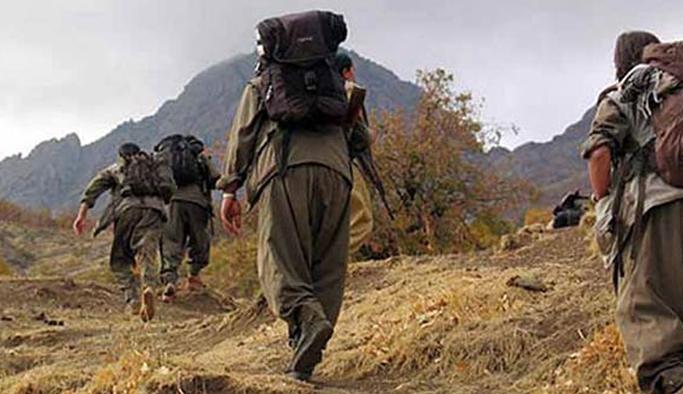 PKK'lı üst düzey terörist öldürüldü