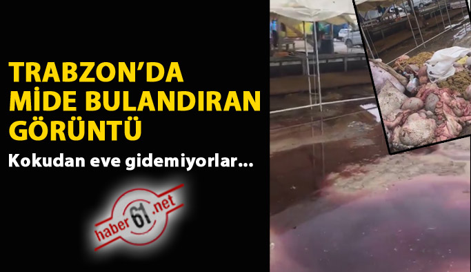 Trabzon'da mide bulandıran görüntü