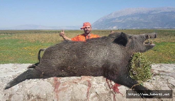 200 kiloluk dev domuzu avladı
