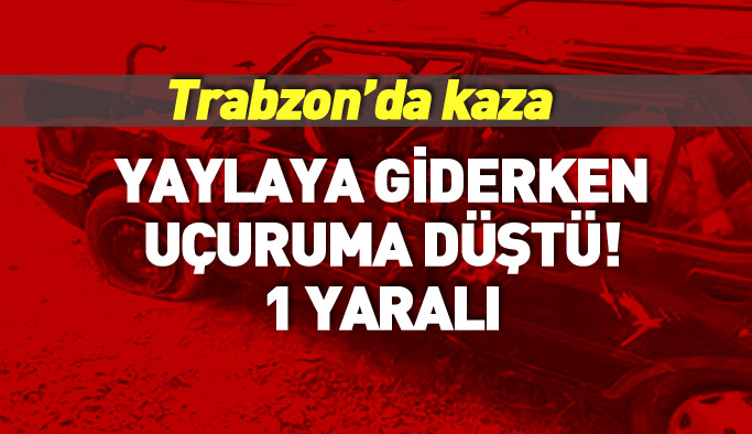 Trabzon'da yaylaya giden araç uçuruma yuvarlandı!