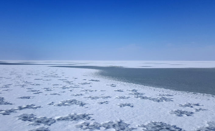 Seyfe Gölü Kuş Cenneti buz tuttu!
