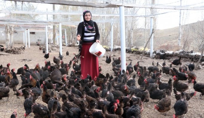 Kadın girişimci hibeyle organik yumurta çiftliği kurdu