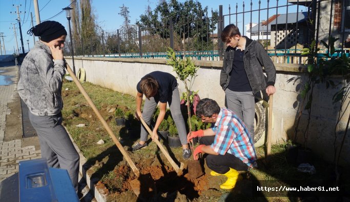 Oflu öğrenciler okul bahçesine meyve fidanı dikti