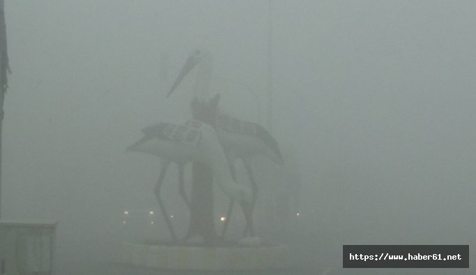 Iğdır'da yoğun sis hava ulaşımı engelledi