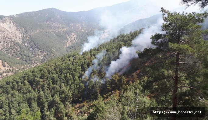 Saklanmaya çalışan teröristler orman yaktı