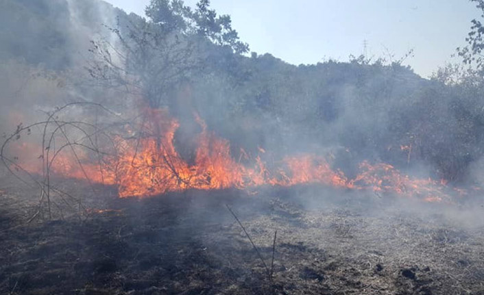 Kastamonu'da orman yangını kontrol altında!