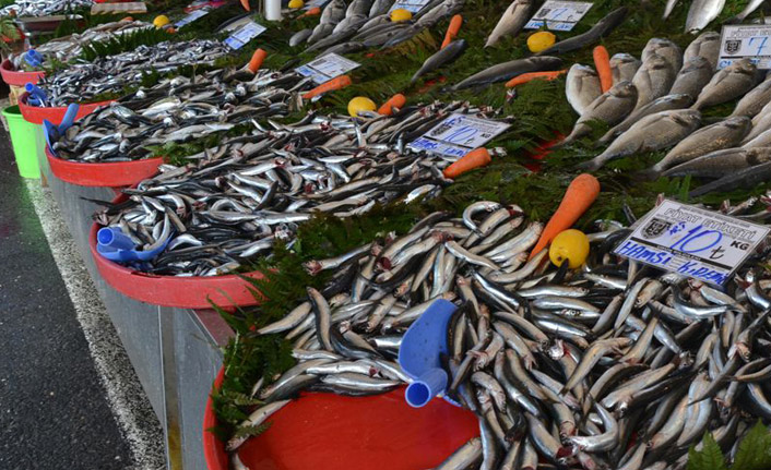 Karadeniz'de tezgahlar balık çeşitleriyle doldu