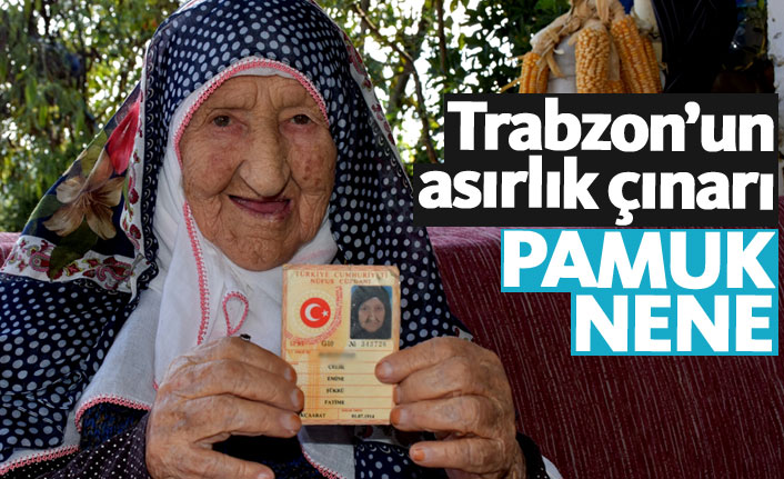 Trabzon'un "Pamuk Nene"si torununun torununu gördü