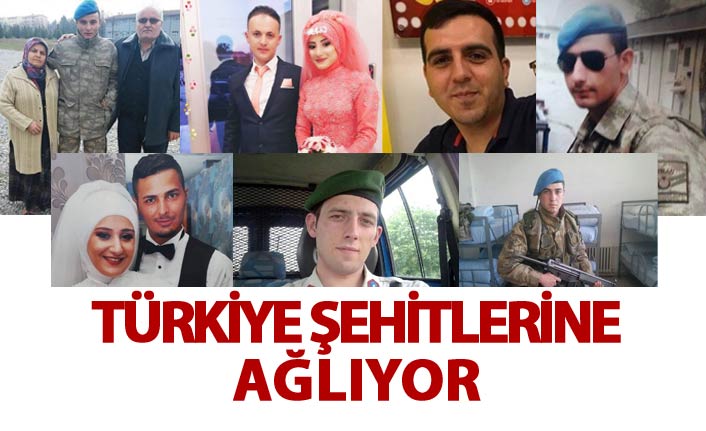 Türkiye 7 şehidine ağlıyor