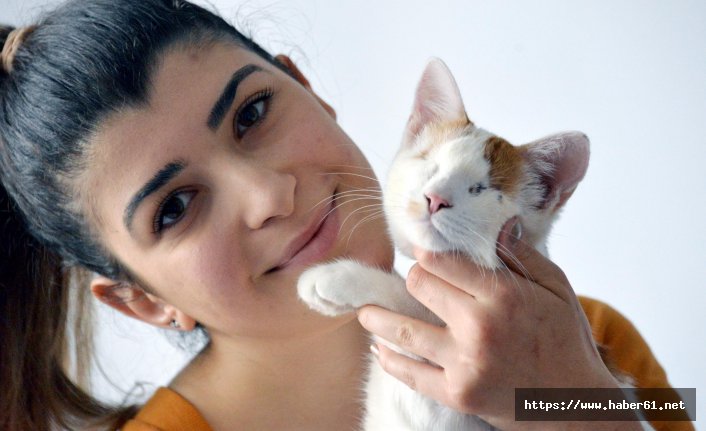Trabzon'da sahiplendiği engelli kediyi öğrenci evinde bakıyor