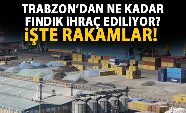 Fındık ihracatının yüzde 38'i Trabzon'dan
