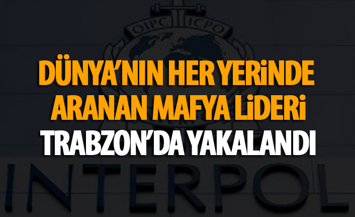 Dünyanın her yerinde aranan mafya lideri Trabzon'da yakalandı